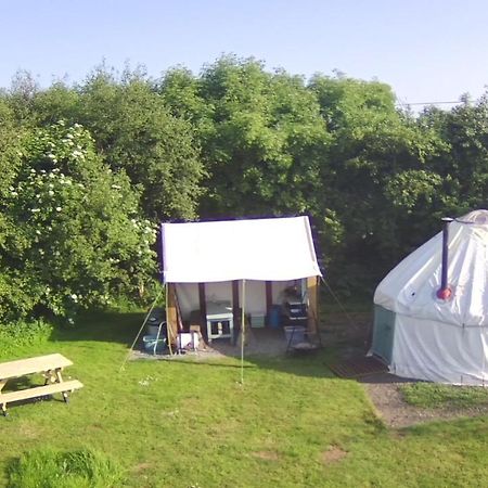 Mill Haven Place Glamping-Yurt 1 Talbenny Екстер'єр фото
