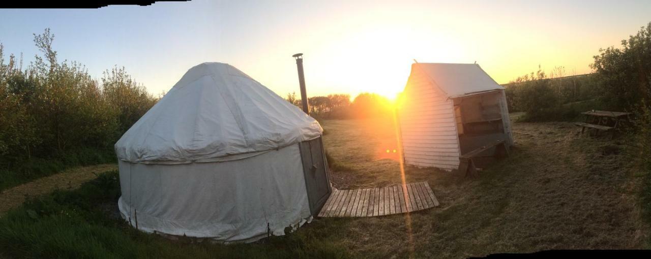 Mill Haven Place Glamping-Yurt 1 Talbenny Екстер'єр фото