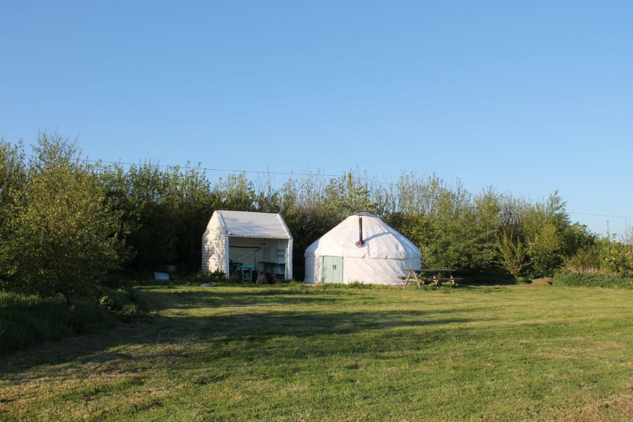 Mill Haven Place Glamping-Yurt 1 Talbenny Екстер'єр фото