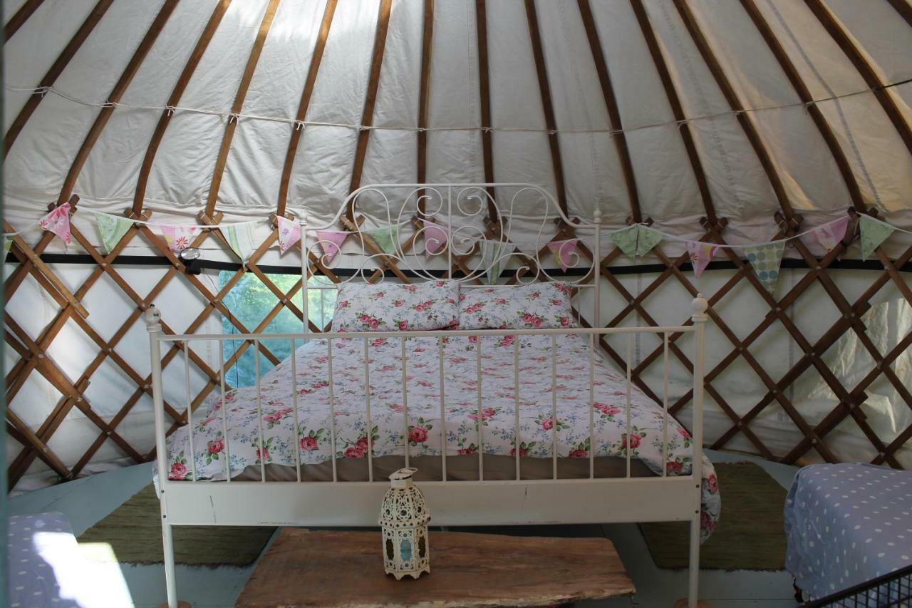 Mill Haven Place Glamping-Yurt 1 Talbenny Екстер'єр фото