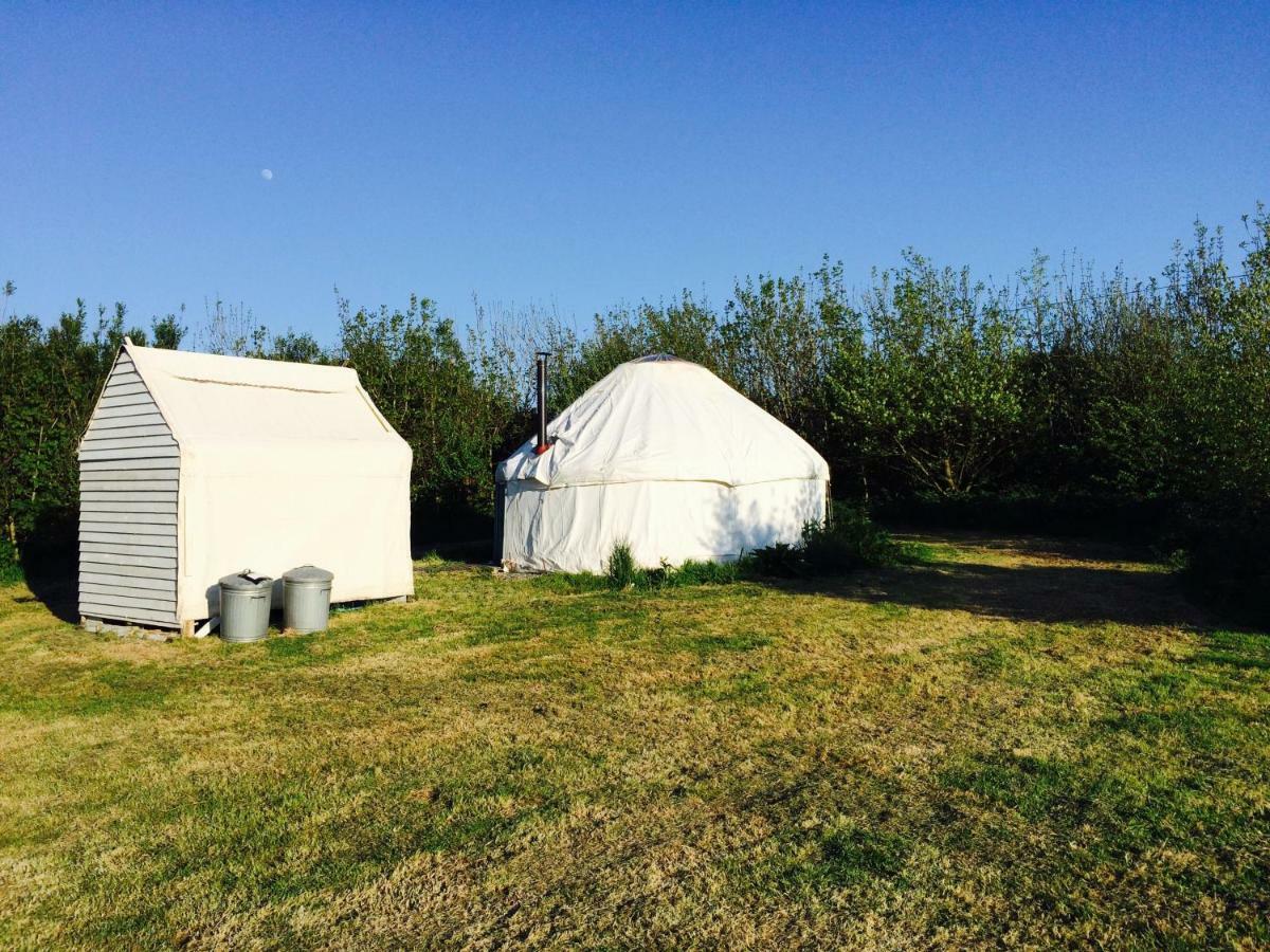 Mill Haven Place Glamping-Yurt 1 Talbenny Екстер'єр фото